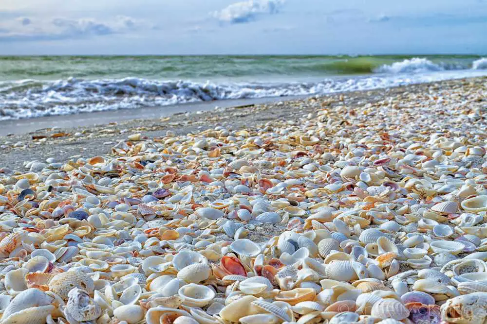 Sanibel Shell Beach