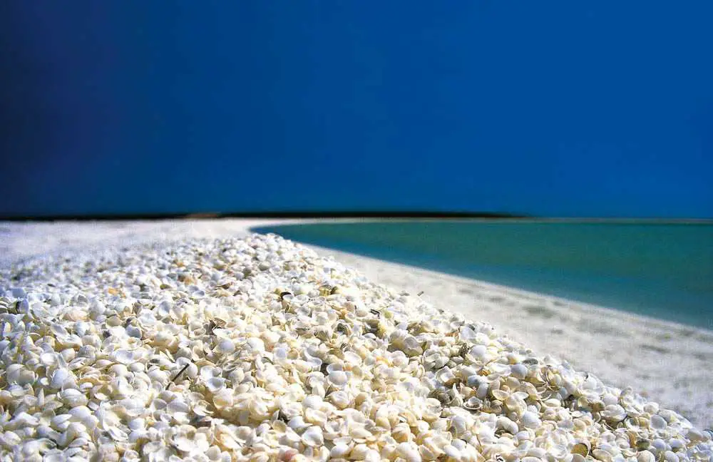 Australia’s Shell Beach