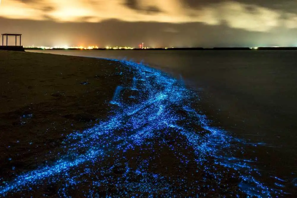 Blue Sand Beach