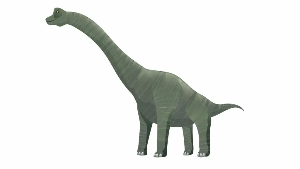 Brontosaurus

